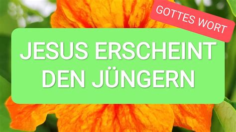 Jesus erscheint den Jüngern Jesus Christus Gott YouTube