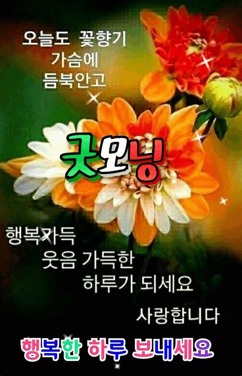 아침 인사에 있는 유경 김님의 핀 좋은 아침 인사 사랑 카드 재미있는 메시지