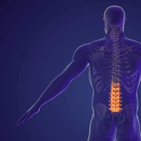 Atrapamiento Del Nervio Pudendo Causas Diagn Stico Y Tratamiento