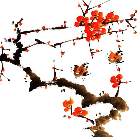 Best Plum Blossom Illustrations Royalty Free Vector Graphics And Clip