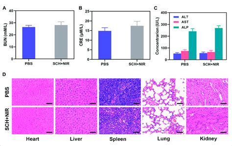 A Kidney Function Markers Bun B Cre And C Liver Function