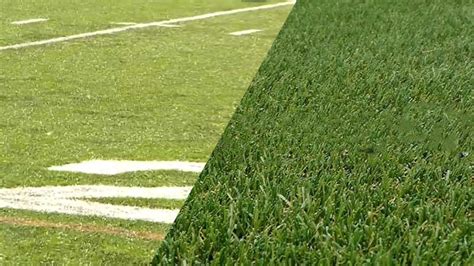 Making the Right Play: NFL Grass Vs Artificial Turf - Metro League