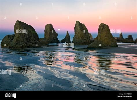 Moon Sets As Sunrise Color Bathes The Many Sea Stacks At Oregons