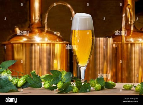 Beer Glass With Hops And Barley In The Brewery Stock Photo Alamy