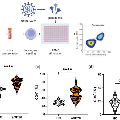 Flow Cytometry Analysis Of T Cell Populations A Pbmcs Were