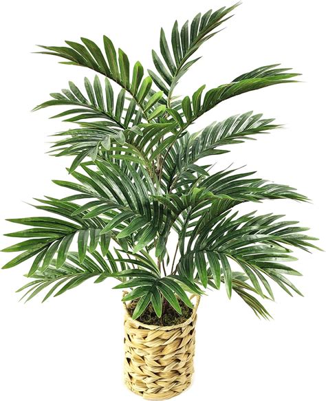 Amazon Wangyang Artificial Palm Tree Faux Palm Plant Floor Plant