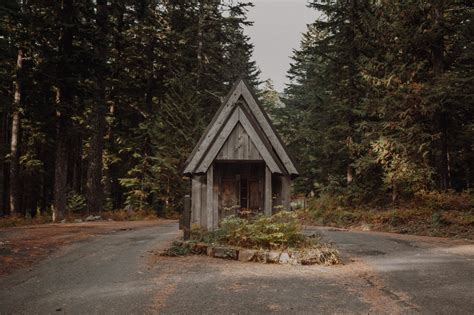 rootlessly — Mount Hood National Forest, October 2017