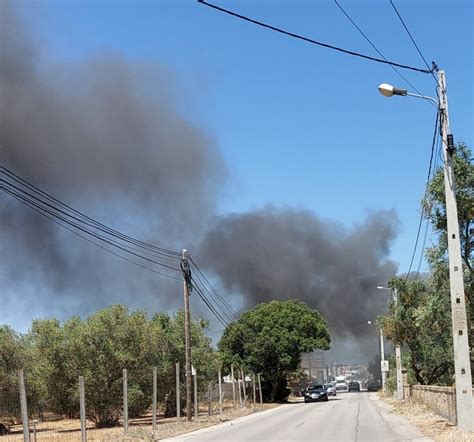 Incêndio em oficina obriga a corte de trânsito entre Montijo e Samouco