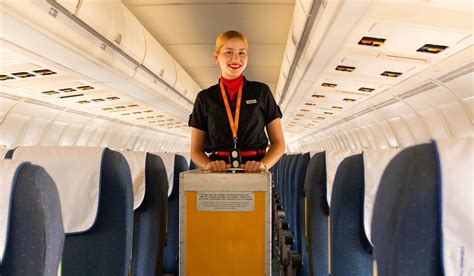 What Is Cabin Crew Roles And Responsibilities Explained