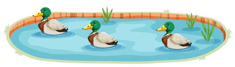 An isolated duck pond 293271 Vector Art at Vecteezy