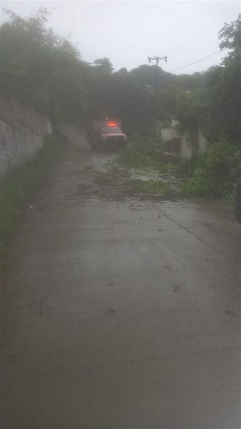 Árboles caídos arrastre de basura y encharcamientos deja lluvia en