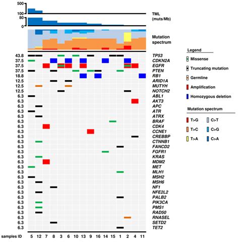 Genomic Landscape Of Idh Wt Glioblastomas The Matrix Shows Genes