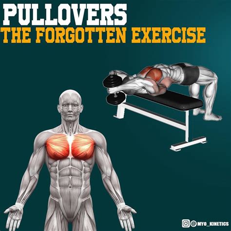 Pullovers The Forgotten Exercise This Exercises Is A Great Addition To