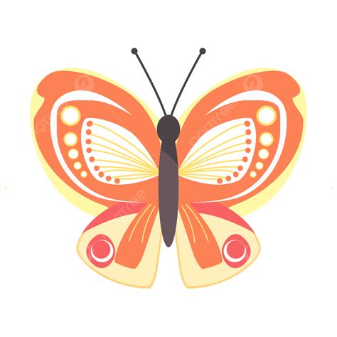 봄 천연 화려한 나비 곤충 비행 오렌지 날개 나비 일러스트 화려한 나비 Insect Png 일러스트 및 벡터 에 대한