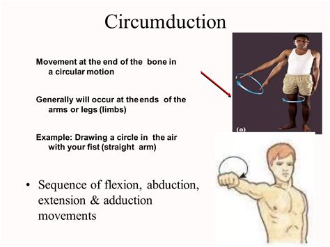 Terminology Of Movement In Anatomy Flexion Extension Hyperextension