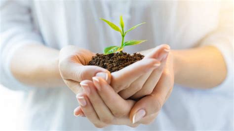 omega financial services martin milton