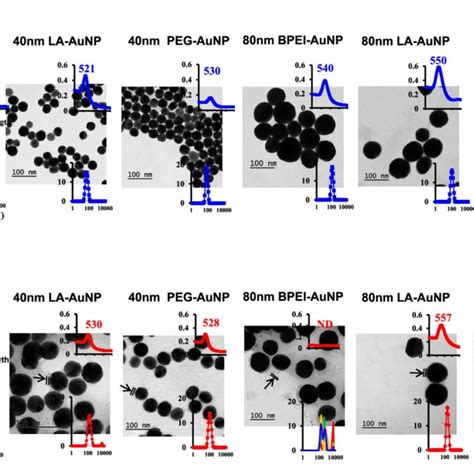 Transmission Electron Micrographs Of A The 40 And 80 Nm Naked AuNP In