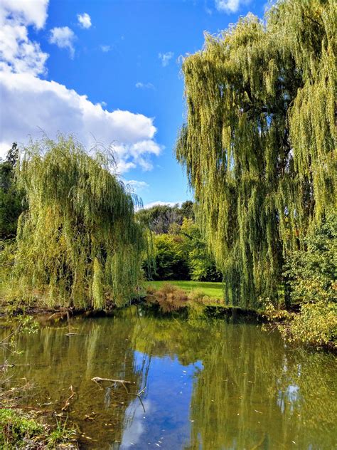 Centennial Park and Centennial Park Conservatory Toronto – My Amazing ...