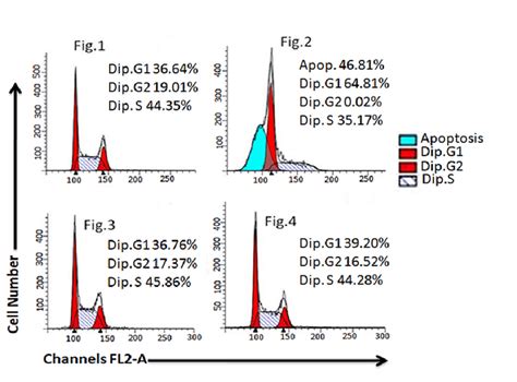 Flow Histogram For Cell Cycle Analysis Cq 200µgml Dose Of Extract Download Scientific Diagram