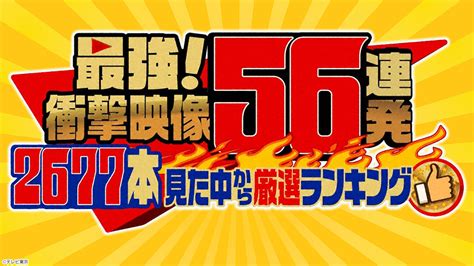 最強！衝撃映像56連発「スタッフが2677本見た中から選ぶ動画ランキング」 Tvo テレビ大阪