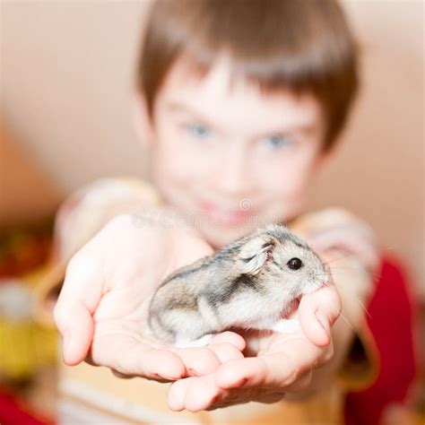 Een Meisje Heeft Een Hamster Op Een Roze Achtergrond Stock Afbeelding