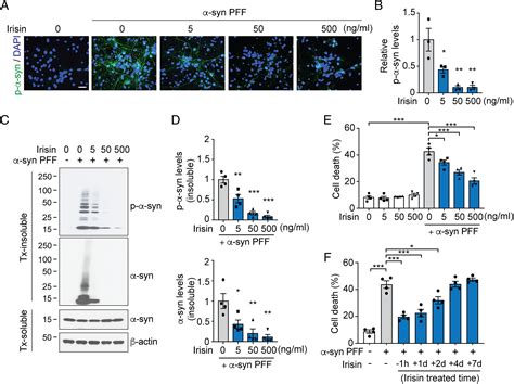 Amelioration of pathologic α synuclein induced Parkinsons disease by