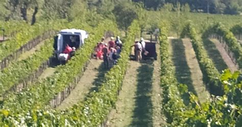 Montecassiano Si Ribalta Col Trattore Agricoltore A Torrette In