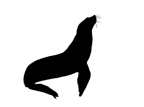 Silhouette Seal Png Transparent 20978262 Png