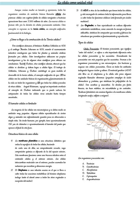 SOLUTION Introducción a la biología celular Studypool