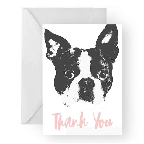 Boston Terrier Thank You Card Boston Terrier Greeting Card