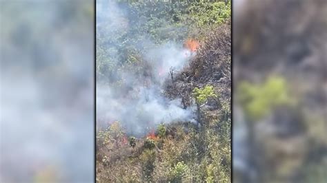 Video Incendio Forestal Tiene En Alerta A La Comunidad Raizal De