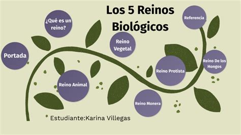 Los 5 Reinos Biologicos