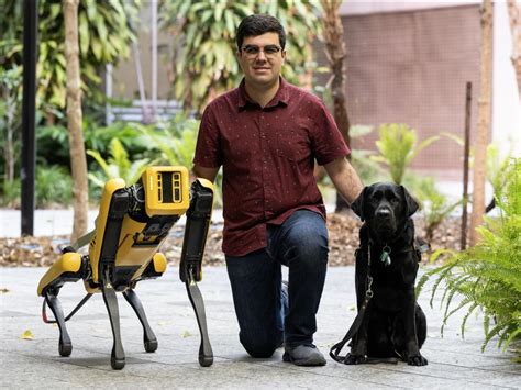 Un chien robot programmé pour être guide daveugle Sciences et Avenir