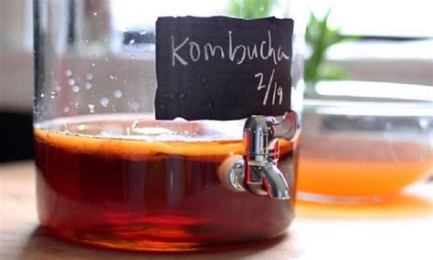 Qué Es Y Cómo Preparar Kombucha Bebida Probiótica Ancestral Con Altos Beneficios Para La Salud