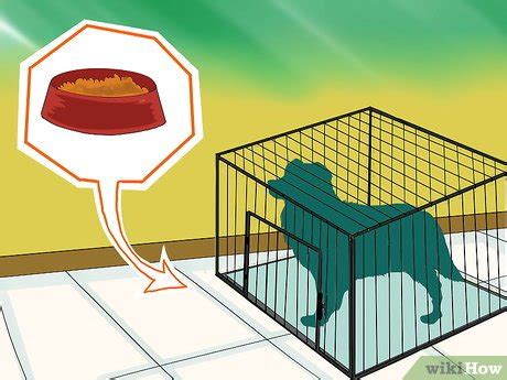 how to kennel train an older dog