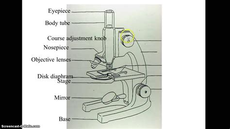 Microscope Drawing Easy at GetDrawings | Free download