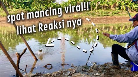 Fishing Videos Lihat Beginilah Reaksi Ikan Melihat Umpan Di Spot