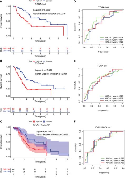 Frontiers Establishment And Validation Of A Ubiquitination Related