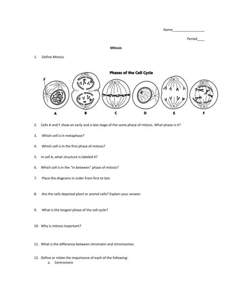 Cell Division Reading Comprehension Worksheet Mitosis And Ff9