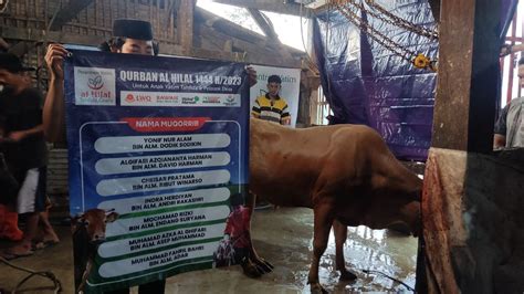 Laporan Pendistribusian Daging Qurban Bersama Anak Yatim Penghafal