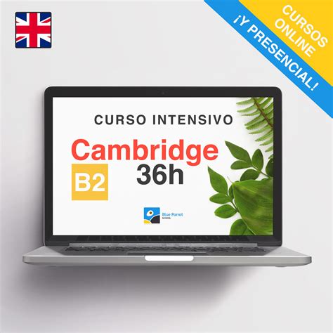 Cambridge First B Intensivo Online O Presencial H Blue Parrot School