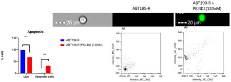 Venetoclax Resistant Mv4 11 Leukemic Cells Activate Pi3kakt Pathway