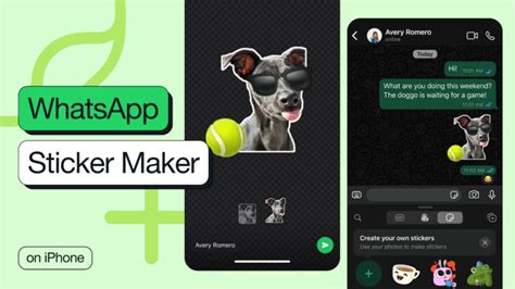 Tiktoker Startet Creator App Openai Startet App Store Whatsapp F Hrt