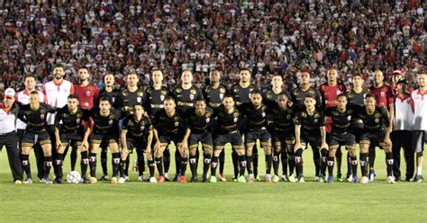 Jogadores Do Botafogo Destacam A Campanha Do Acesso O Curioso Do Futebol