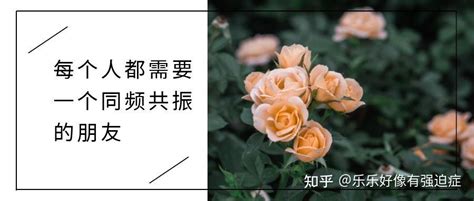 如果你的朋友经常不回微信，别怪他，但你该找个新朋友了 知乎