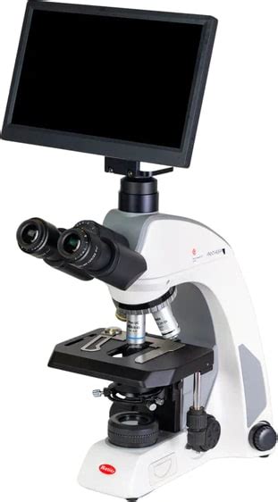 Motic Panthera C Trino Bmh Trinocular Compound Microscope And