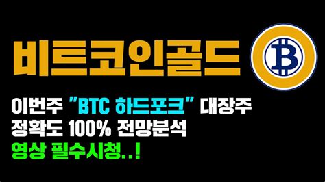 비트코인골드 긴급 정확도 100 전망분석 이번주 Btc 하드포크 자산 대장주 확정 영상 필수시청 코인시황