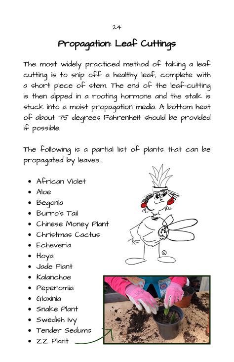 PAPERBACK The Persnickety Gardeners Guide to Pruning and Propagation