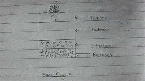 Sketch A Neat Diagram Of Soil Profile With Its Significance In Each