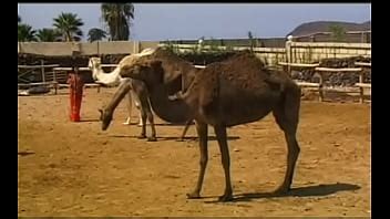 Judith Penn Model Page XVIDEOS